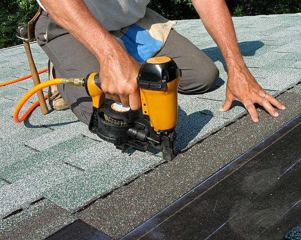 Best Roof Gutter Cleaning  in Downs, IL