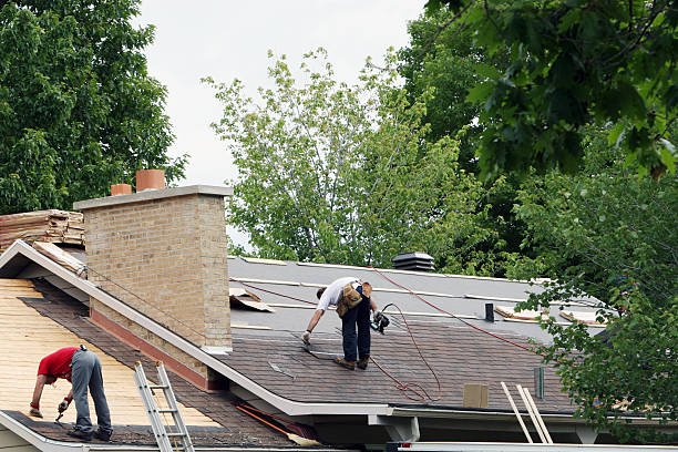 Roof Gutter Cleaning in Downs, IL