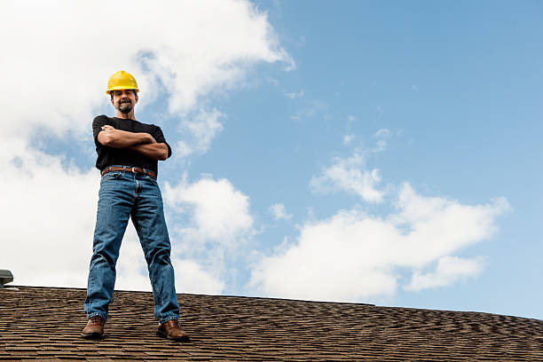Best Roof Gutter Cleaning  in Downs, IL