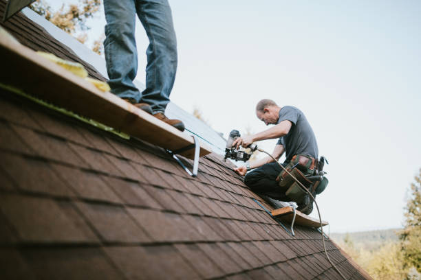 Best Roof Gutter Cleaning  in Downs, IL